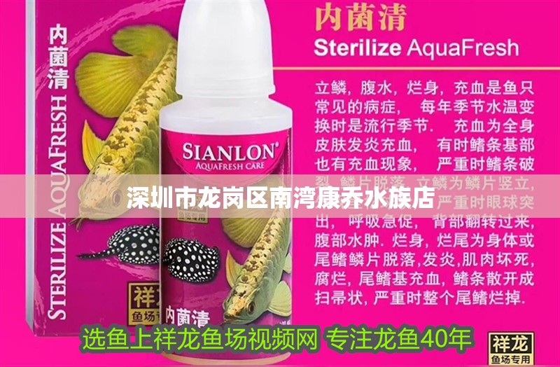 <strong><mark>深圳</mark></strong>市龍崗區南灣康喬水族店