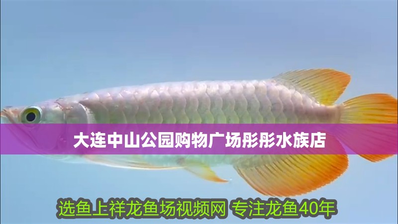 大連<strong><mark>中山</mark></strong>公園購物廣場彤彤水族店