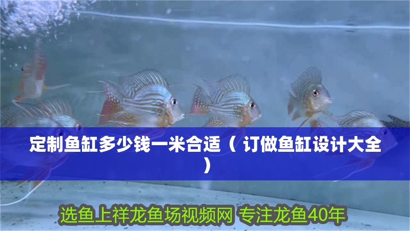 定制魚缸多少錢一米合適（ 訂做魚缸設計大全） 定制魚缸多少錢一米合適（ 訂做魚缸設計大全） 全國水族館企業名錄 第1張