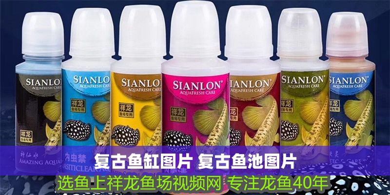 復古魚缸圖片 復古魚池圖片 復古魚缸圖片 復古魚池圖片 龍魚百科 第1張