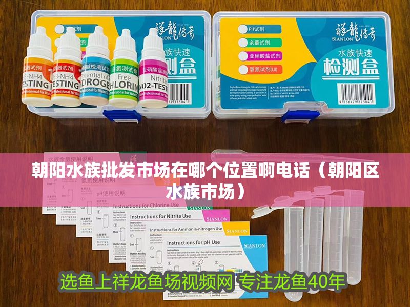 朝陽水族批發市場在哪個位置啊電話（朝陽區水族市場）