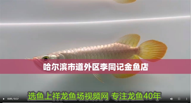 哈爾濱市道外區李同記金魚店 哈爾濱市道外區李同記金魚店 全國水族館企業名錄