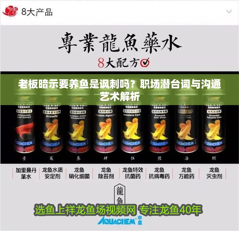 老板暗示要養魚是諷刺嗎？職場潛臺詞與溝通藝術解析