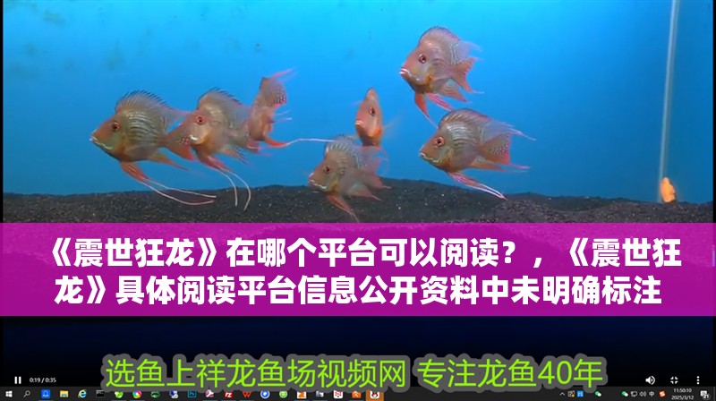 《震世狂龍》在哪個平臺可以閱讀？，《震世狂龍》具體閱讀平臺信息公開資料中未明確標注 《震世狂龍》在哪個平臺可以閱讀？，《震世狂龍》具體閱讀平臺信息公開資料中未明確標注 龍魚論壇
