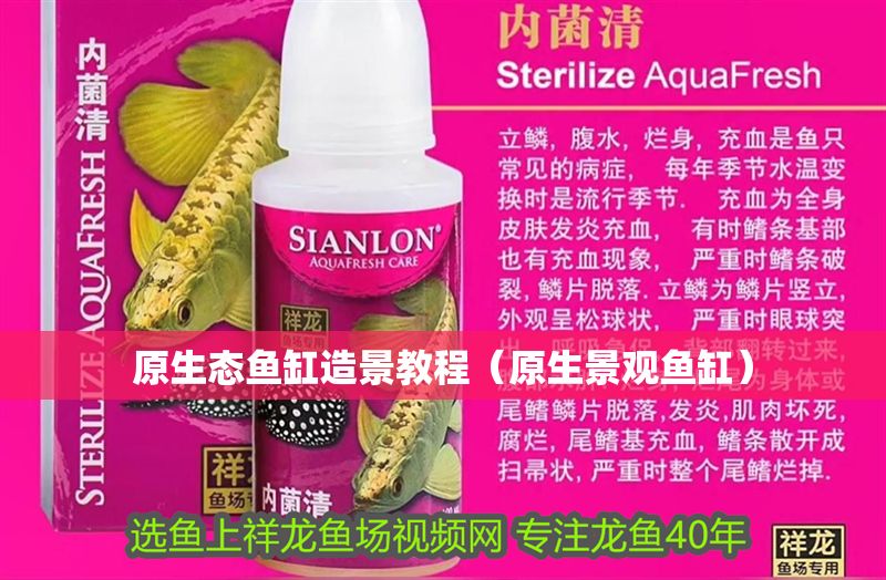 原生態魚缸造景教程（原生景觀魚缸）