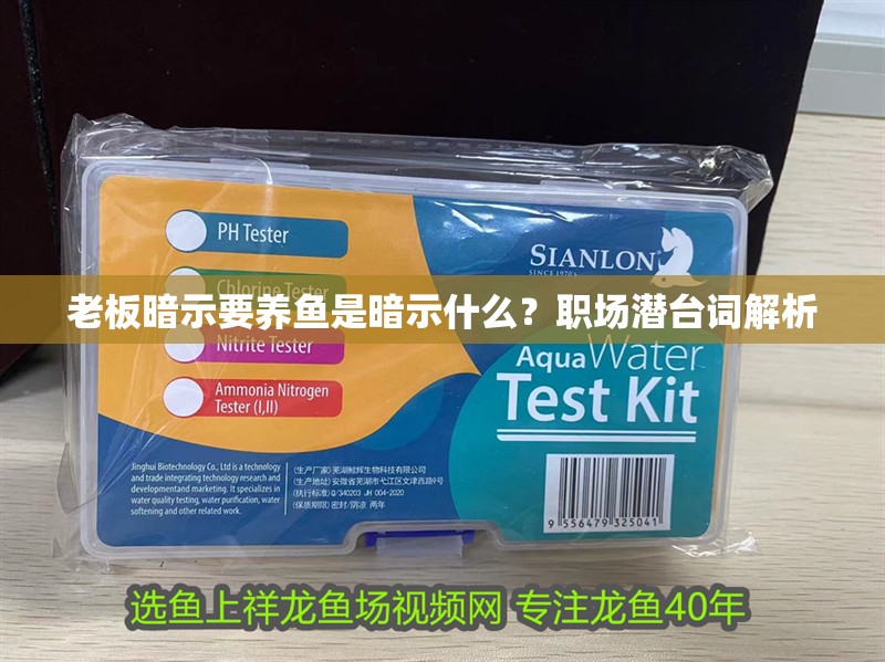 老板暗示要養魚是暗示什么？職場潛臺詞解析