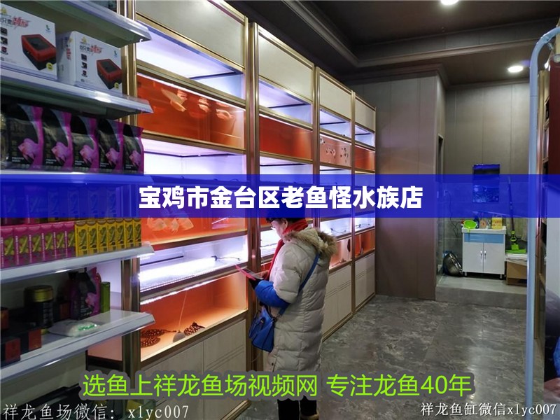 寶雞市金臺區老魚怪水族店