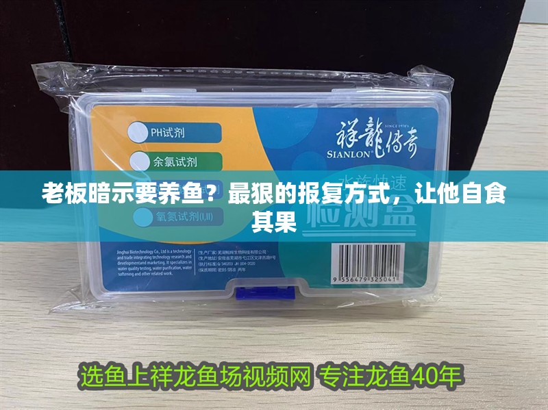 老板暗示要養(yǎng)魚？最狠的報(bào)復(fù)方式，讓他自食其果 老板暗示要養(yǎng)魚？最狠的報(bào)復(fù)方式，讓他自食其果 龍魚百科 第1張