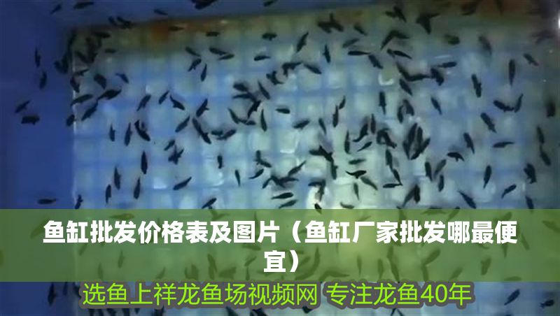 魚缸批發價格表及圖片（魚缸廠家批發哪最便宜）