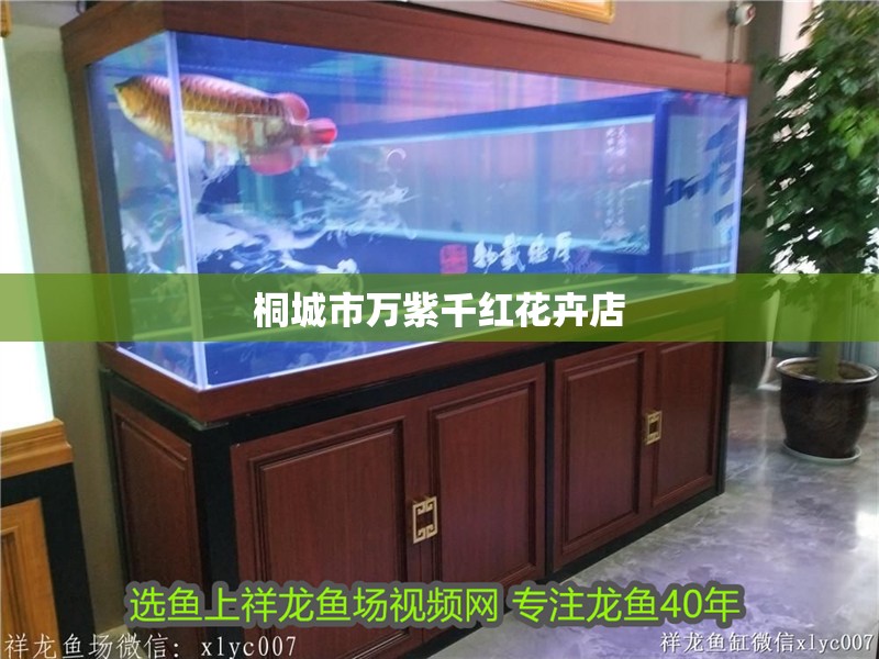 桐城市萬紫千紅花卉店