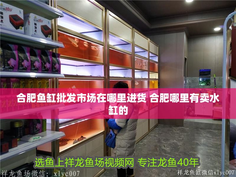 合肥魚缸批發市場在哪里進貨 合肥哪里有賣水缸的 合肥魚缸批發市場在哪里進貨 合肥哪里有賣水缸的 龍魚百科 第1張