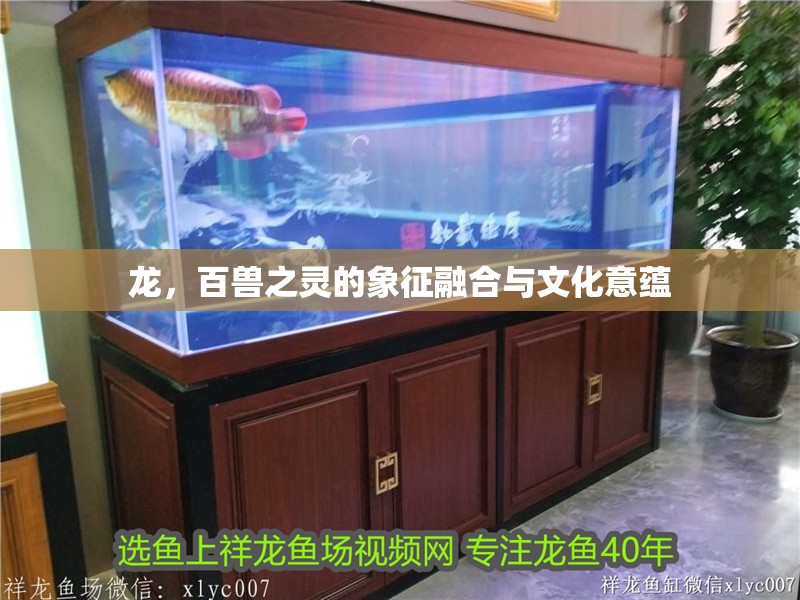 龍，百獸之靈的象征融合與文化意蘊