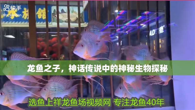 龍魚之子，神話傳說中的神秘生物探秘