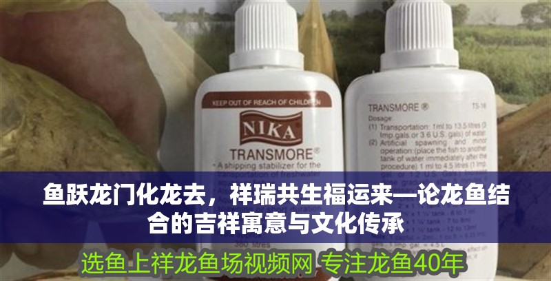 魚躍龍門化龍去，祥瑞共生福運來—論龍魚結合的吉祥寓意與文化傳承