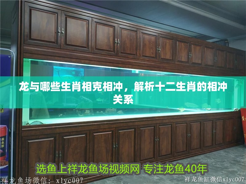 龍與哪些生肖相克相沖，解析十二生肖的相沖關系