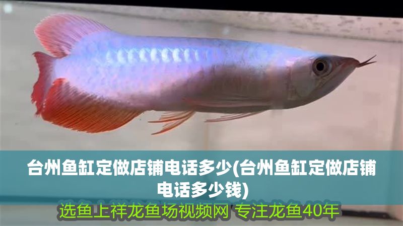 臺州魚缸定做店鋪電話多少(臺州魚缸定做店鋪電話多少錢)
