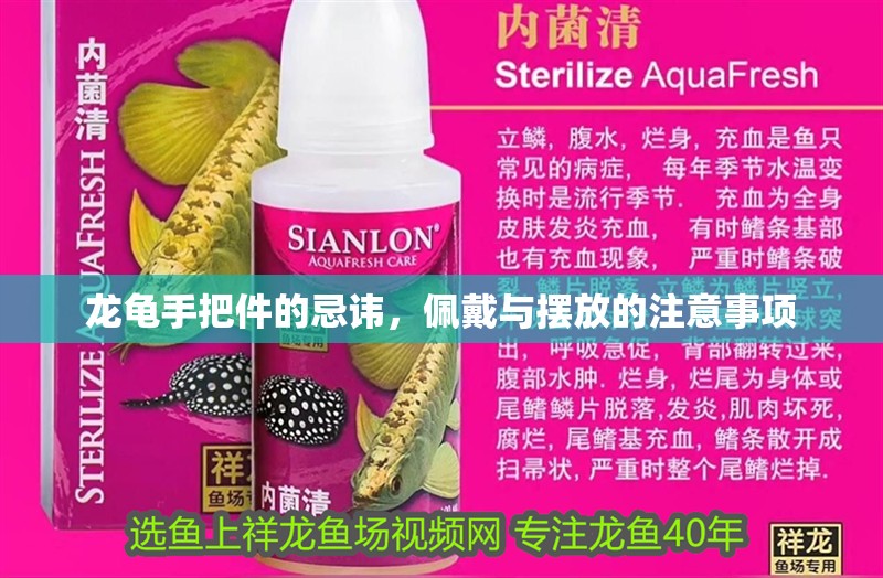 龍龜手把件的忌諱，佩戴與擺放的注意事項 龍龜手把件的忌諱，佩戴與擺放的注意事項 龍魚百科 第1張