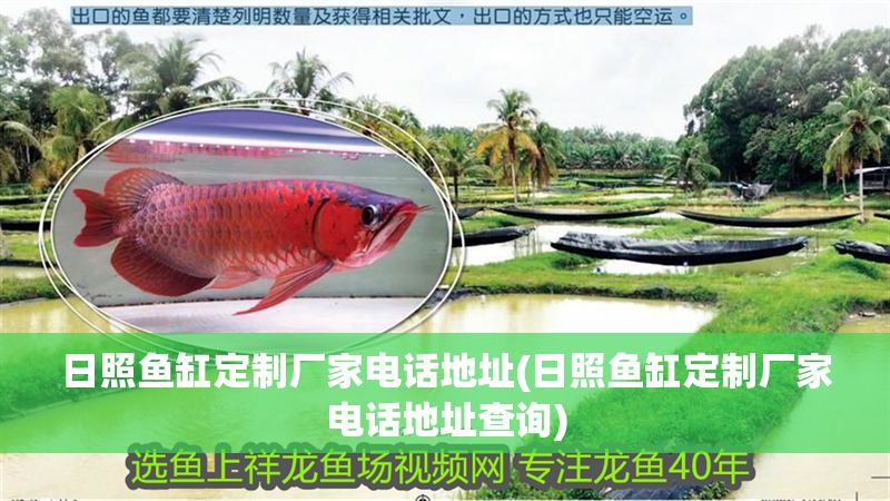 日照魚缸定制廠家電話地址(日照魚缸定制廠家電話地址查詢)