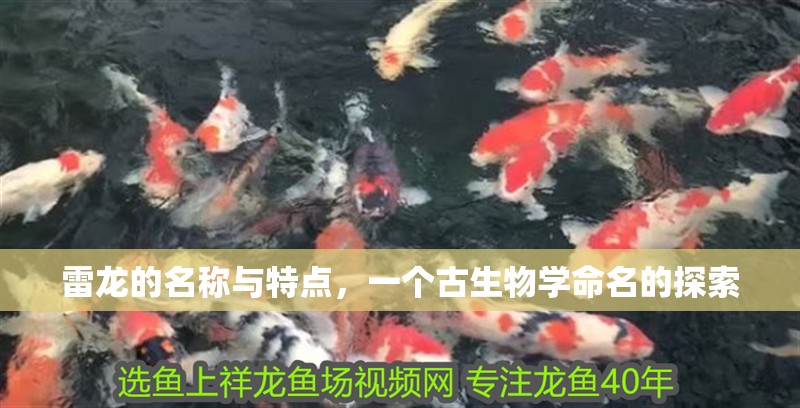 雷龍的名稱與特點，一個古生物學命名的探索