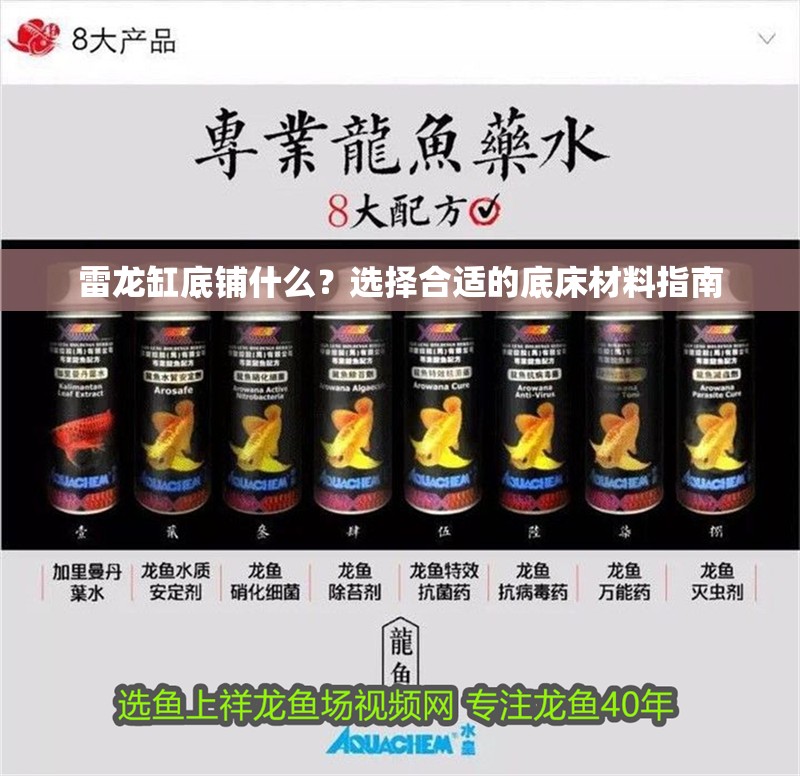 雷龍缸底鋪什么？選擇合適的底床材料指南 雷龍缸底鋪什么？選擇合適的底床材料指南 龍魚百科 第1張