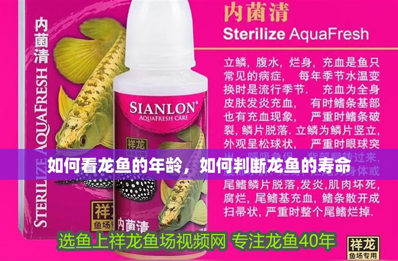 如何看龍魚的年齡，如何判斷龍魚的壽命
