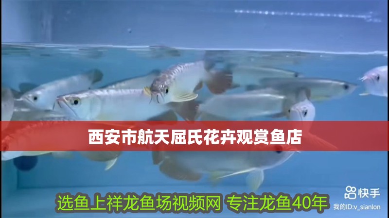 西安市航天屈氏花卉觀賞魚店
