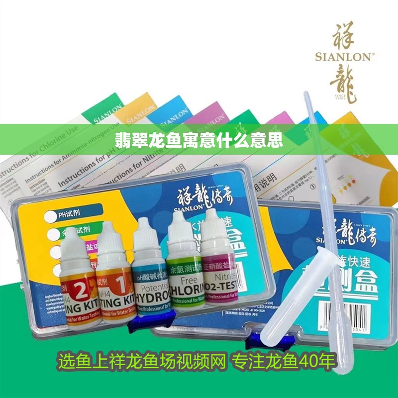 翡翠龍魚寓意什么意思