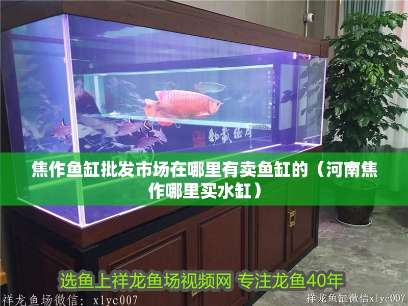 焦作魚缸批發市場在哪里有賣魚缸的（河南焦作哪里買水缸）