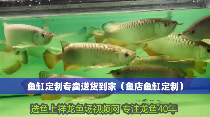 魚缸定制專賣送貨到家（魚店魚缸定制）
