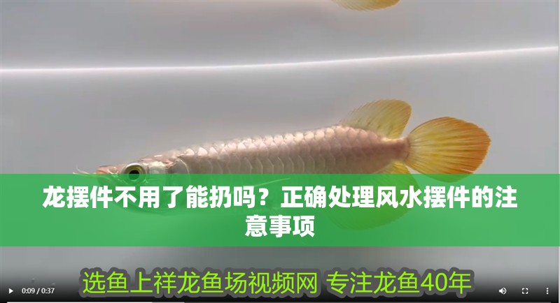 龍擺件不用了能扔嗎？正確處理風水擺件的注意事項