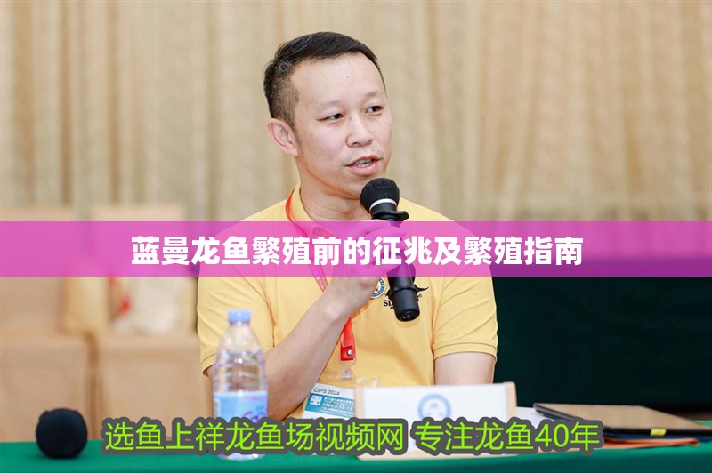 藍(lán)曼龍魚繁殖前的征兆及繁殖指南