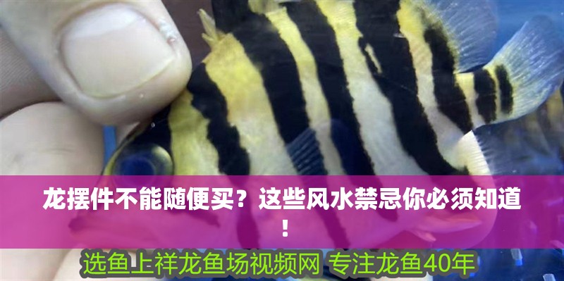 龍擺件不能隨便買？這些風(fēng)水禁忌你必須知道！