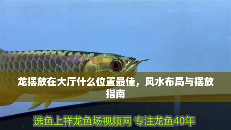 龍擺放在大廳什么位置最佳，風(fēng)水布局與擺放指南