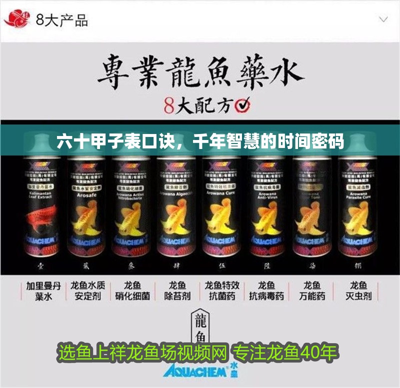 六十甲子表口訣，千年智慧的時間密碼 六十甲子表口訣，千年智慧的時間密碼 龍魚百科 第1張