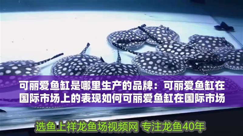 可麗愛魚缸是哪里生產(chǎn)的品牌：可麗愛魚缸在國際市場上的表現(xiàn)如何可麗愛魚缸在國際市場上的表現(xiàn)
