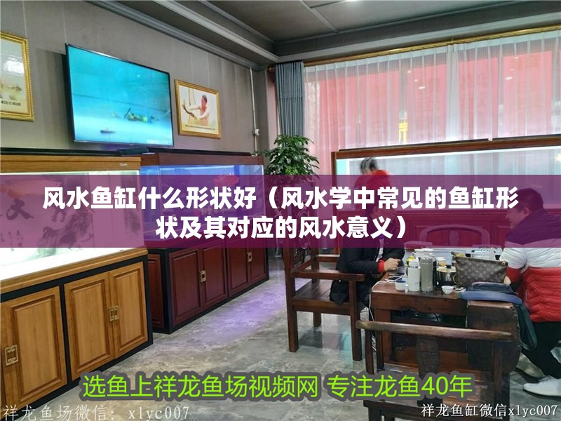 風水魚缸什么形狀好（風水學中常見的魚缸形狀及其對應的風水意義）