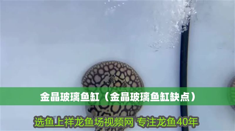 金晶玻璃魚缸（金晶玻璃魚缸缺點(diǎn)） 金晶玻璃魚缸（金晶玻璃魚缸缺點(diǎn)） 龍魚百科 第1張