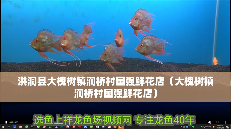 洪洞縣大槐樹鎮(zhèn)澗橋村國強鮮花店（大槐樹鎮(zhèn)澗橋村國強鮮花店）