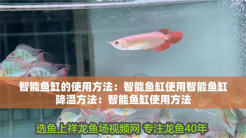 智能魚缸的使用方法：智能魚缸使用智能魚缸降溫方法：智能魚缸使用方法