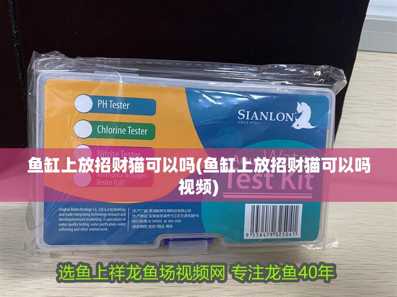 魚缸上放招財(cái)貓可以嗎(魚缸上放招財(cái)貓可以嗎視頻)
