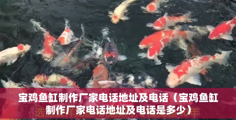 寶雞魚缸制作廠家電話地址及電話（寶雞魚缸制作廠家電話地址及電話是多少）