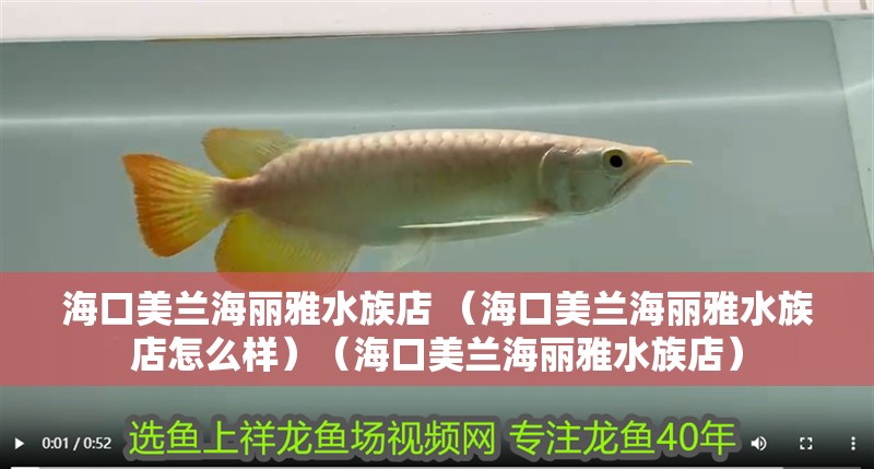 海口美蘭海麗雅水族店 （海口美蘭海麗雅水族店怎么樣）（海口美蘭海麗雅水族店）