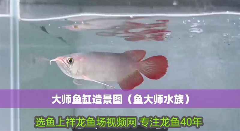 大師魚缸造景圖（魚大師水族）