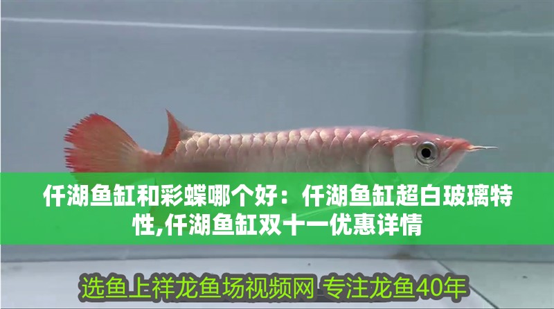 仟湖魚缸和彩蝶哪個好：仟湖魚缸超白玻璃特性,仟湖魚缸雙十一優惠詳情