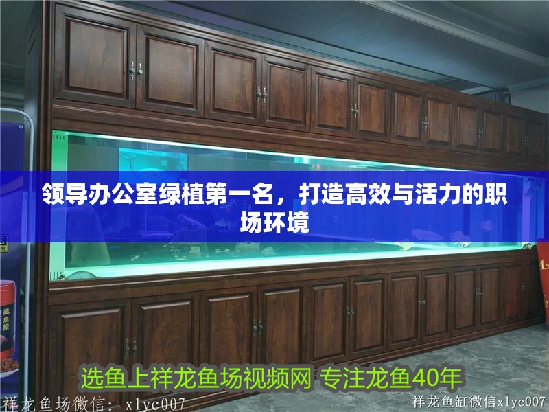 領導辦公室綠植第一名，打造高效與活力的職場環境 領導辦公室綠植第一名，打造高效與活力的職場環境 龍魚百科 第1張