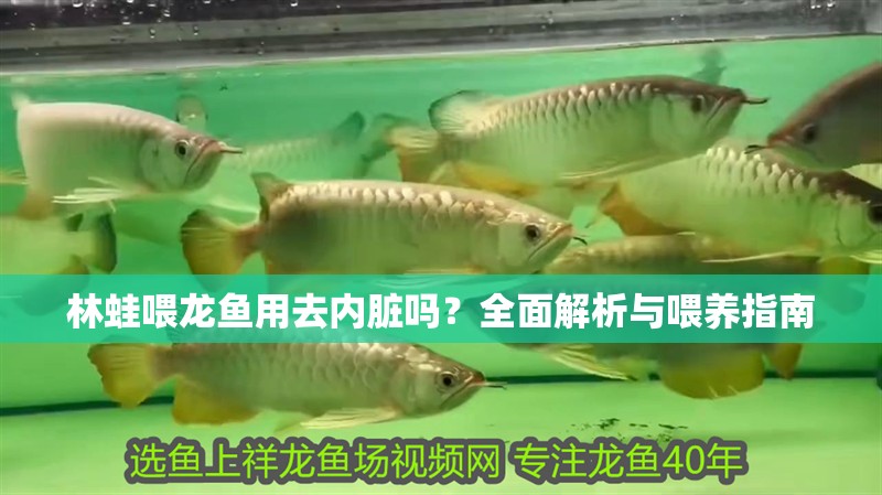 林蛙喂龍魚用去內(nèi)臟嗎？全面解析與喂養(yǎng)指南