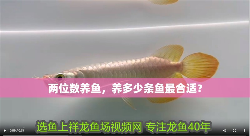 兩位數(shù)養(yǎng)魚(yú)，養(yǎng)多少條魚(yú)最合適？