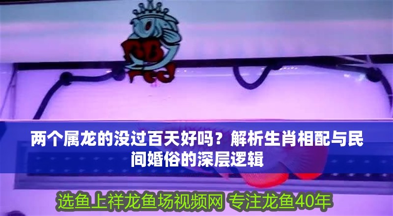 兩個屬龍的沒過百天好嗎？解析生肖相配與民間婚俗的深層邏輯