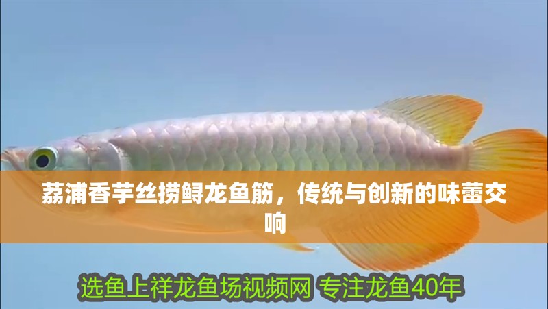 荔浦香芋絲撈鱘龍魚筋，傳統(tǒng)與創(chuàng)新的味蕾交響