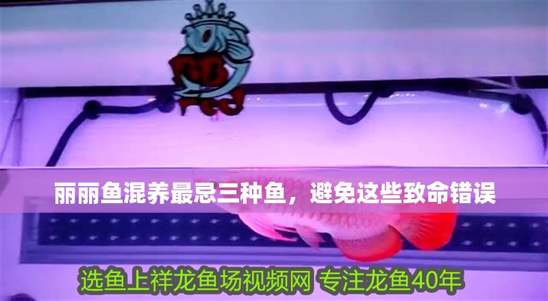 麗麗魚混養最忌三種魚，避免這些致命錯誤